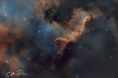 NGC7000_7h_Quad_SHOv2