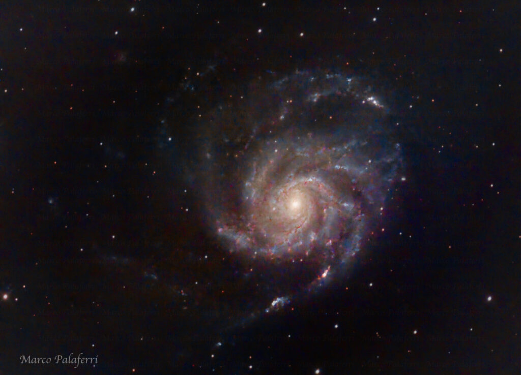 Ammira la splendida M101, una galassia che si staglia nel cielo notturno come un'opera d'arte celeste